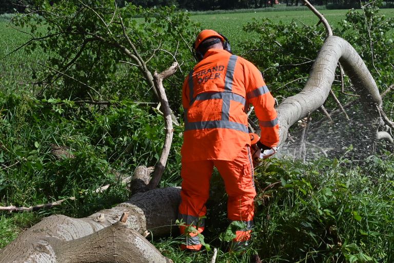 De boom versperde de Raamschoorseweg in Breda (foto: Perry Roovers/SQ Vision).