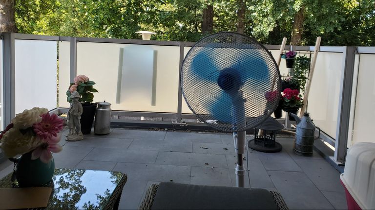Goed toeven op het balkon van Wilbert (foto: Wilbert Daamen).