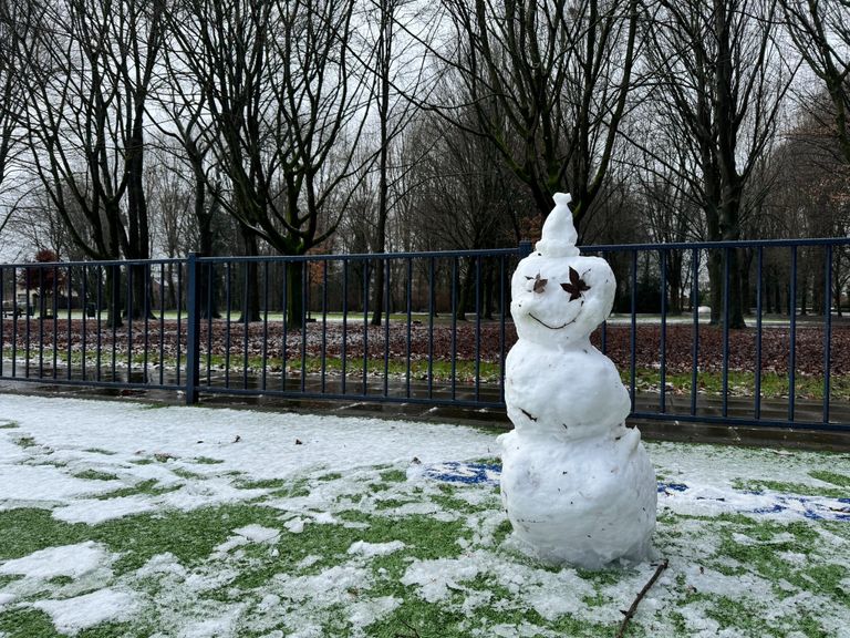 Deze sneeuwpop zag Joris Oostveen tijdens een wandeling in Tilburg