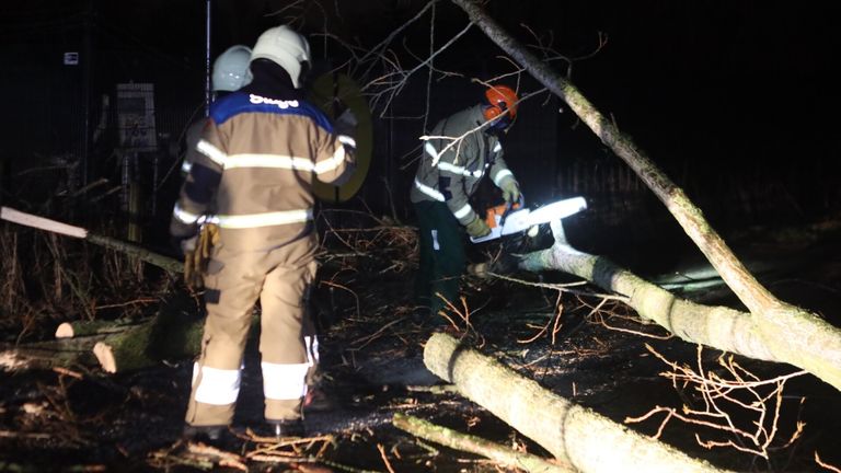 Omgewaaide boom in Gemonde (foto: Sander van Gils / SQ Vision).