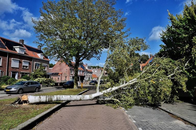De Arendlaan (foto: Persbureau Heitink).