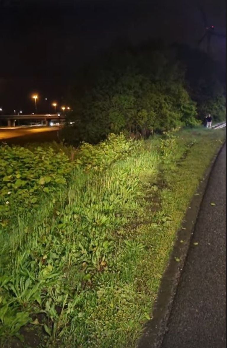 De auto belandde in de bosjes naast de snelweg (foto: Instagram wijkagenten Etten-Leur).