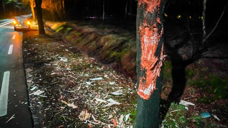 Ook de boom raakte bij de aanrijding in Nuenen flink beschadigd (foto: Sem van Rijssel/SQ Vision).