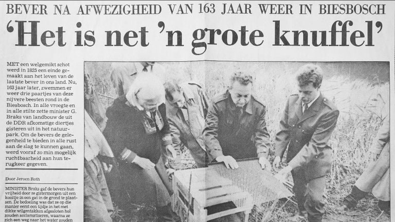 Uitzetten van de eerste bevers in 1988 (Archief Jacq van der Neut)