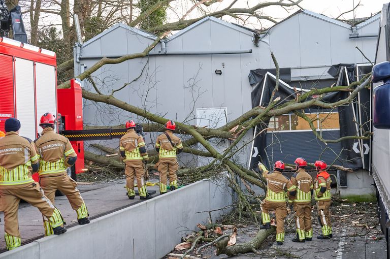 De brandweer verwijdert het afgebroken deel van de boom in Breda (foto: Tom van der Put/SQ Vision). 