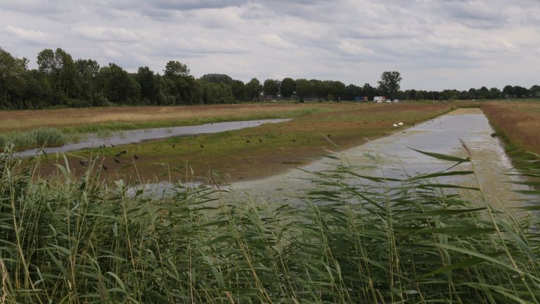 Naast de waterhouderij ligt een waterberging, een gebied waar bij plotselinge regenbuien water van De Bemmer naar toe kan stromen. 