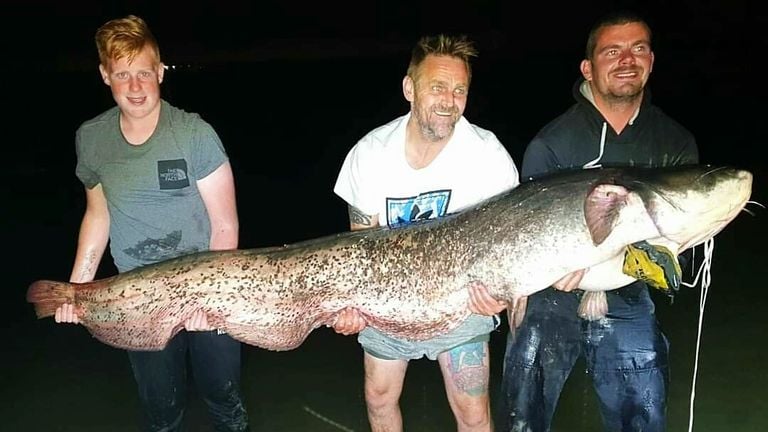 Niels en Jeroen vissen vaker op meervallen (foto: Predator Hunting Biesbosch/Facebook).