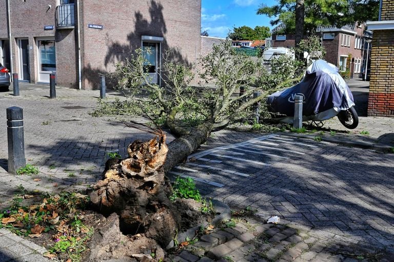 Deze motor in de Bankastraat stond net op de verkeerde plek (foto: Persbureau Heitink).