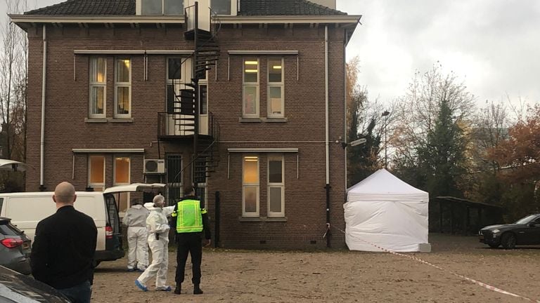 Ferdi werd in 2019 gevonden op een parkeerplaats (foto: SQ Vision). 