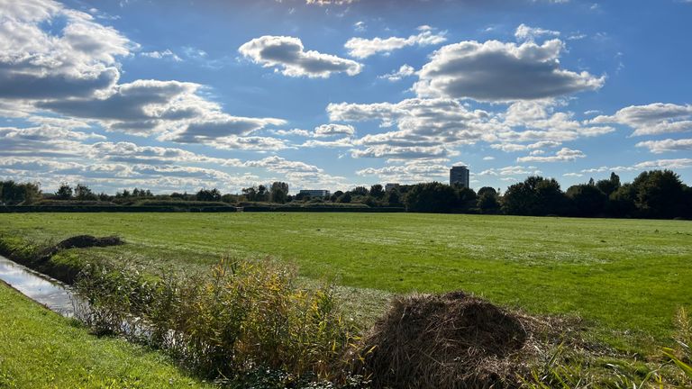 Een deel van het gebied Groot-Meerendonk (foto: Megan Hanegraaf).