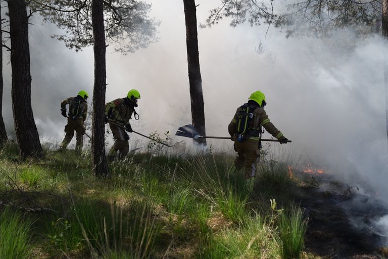 Het vuur woedt een bosgebied in Budel dat fungeert als militair oefenterrein (foto: WdG/SQ Vision).