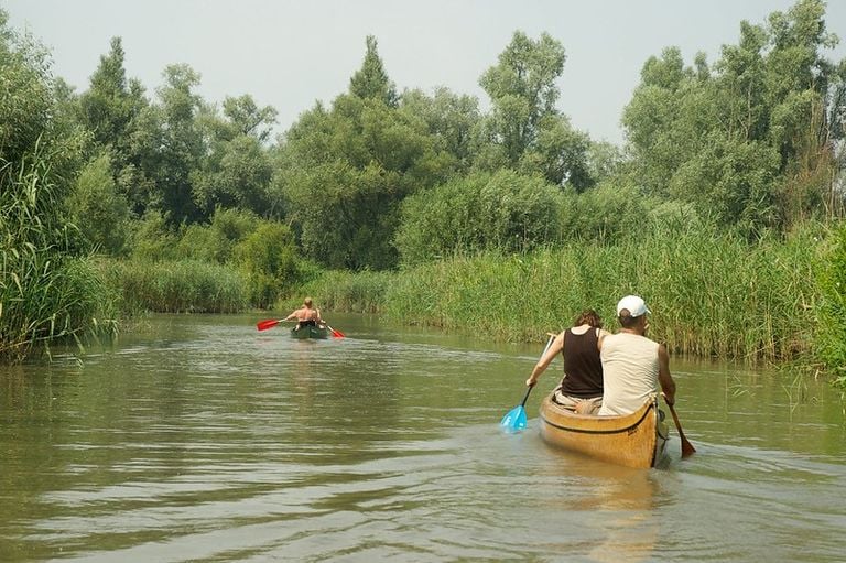 Kanoën in Nationaal Park De Biesbosch