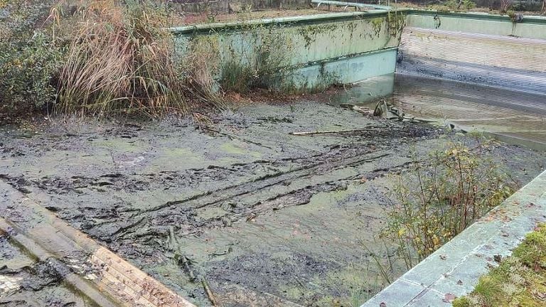 Het zwembad is al 30 jaar niet meer gebruikt. (Foto: Valkenswaard 24)