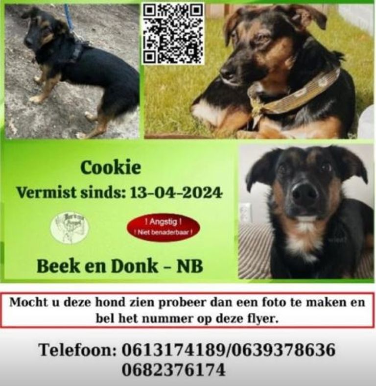 Foto: Instagram wijkagenten Beek en Donk