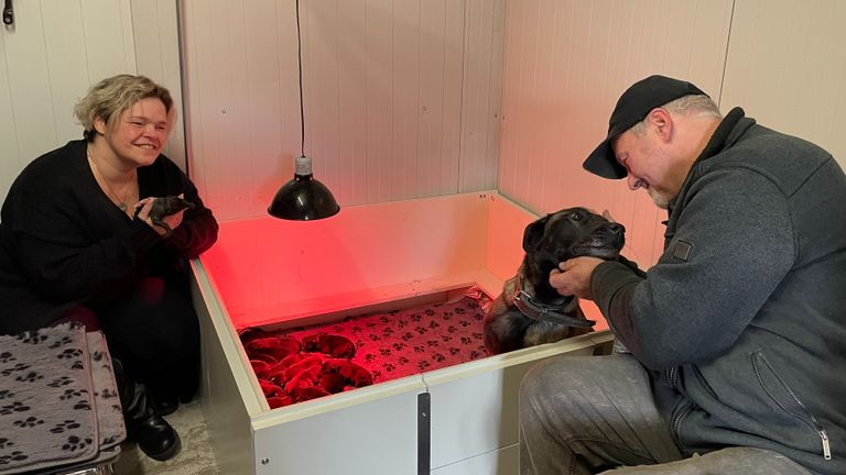 Chantal en haar man met Deya en de puppy's (foto: Omroep Brabant).