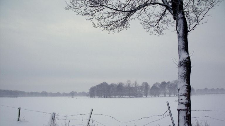 IJzig stil. (Foto: Margreet van Vianen, Tilburg)