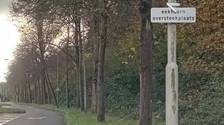 Het verkeersbord aan de Bergrand is gestolen (foto: Omroep Brabant).