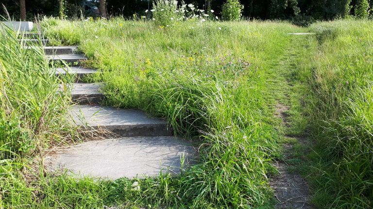 Olifantenpaadje in het Dommelpark in Sint-Oedenrode (foto: Jan Verhagen)