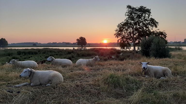 Prachtige plaatjes tijdens de Nacht van de Vluchteling (foto: Marieke Janssen).