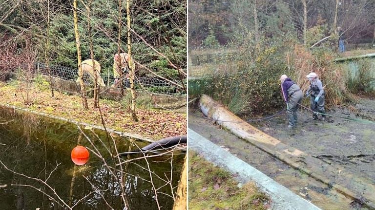 Het zwembad wordt leeggemaakt. (Foto's: Valkenswaard 24)