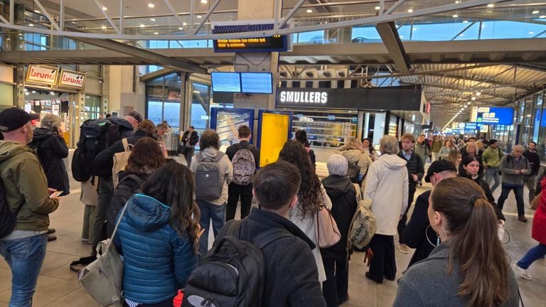 Drukte rond kwart voor negen op station Den Bosch (foto: Noël van Hooft).