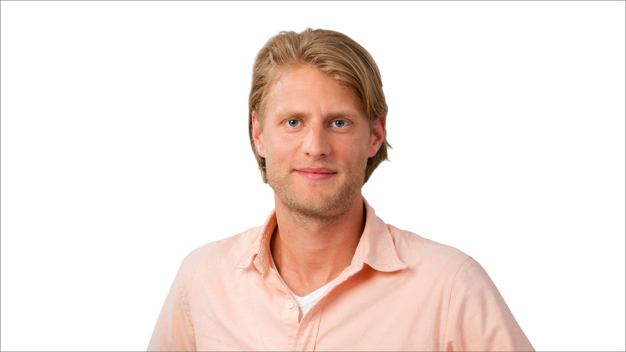 Niek de Vries
